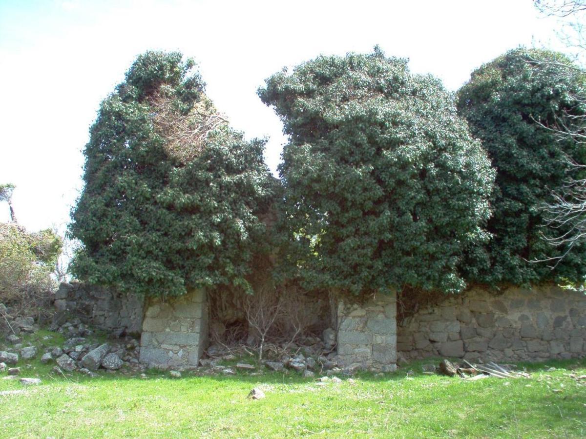 Casa Rural Cristina III San Pablo de los Montes Exterior photo